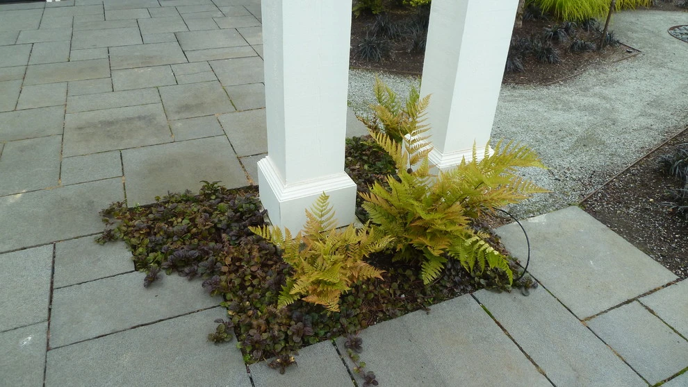 Medina Residence by Lankford Associates Landscape Architects - Photo 7