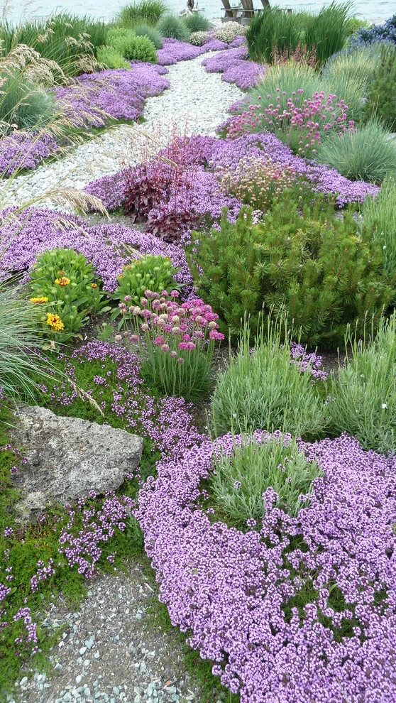 Coan Waterfront Landscape, Camano Island, WA by Lankford Associates Landscape Architects - Photo 6