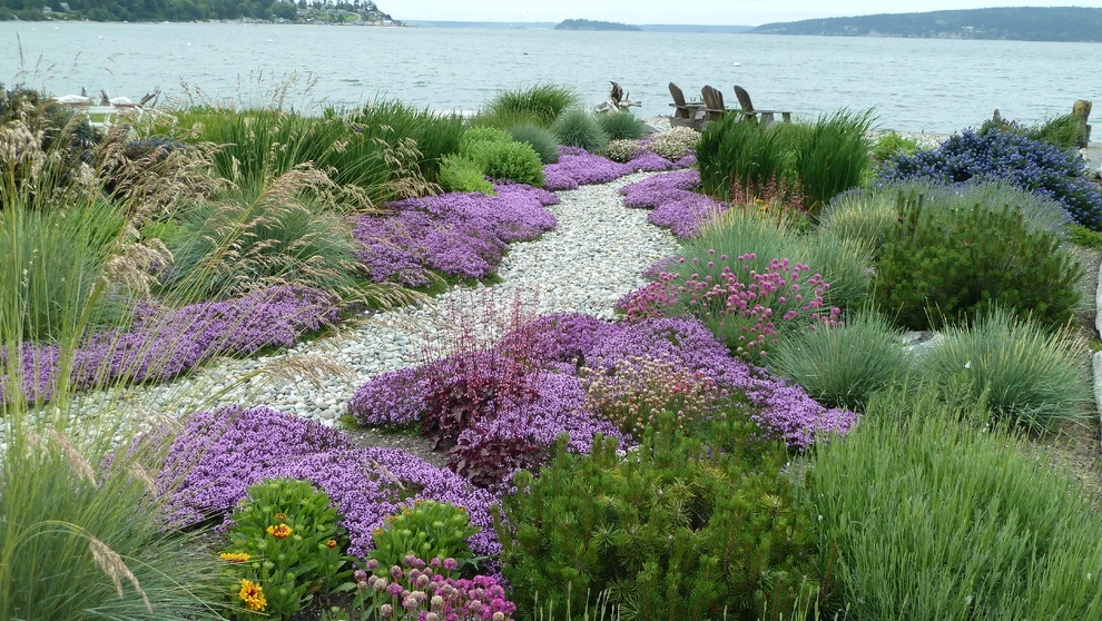Coan Waterfront Landscape, Camano Island, WA by Lankford Associates Landscape Architects - Photo 5