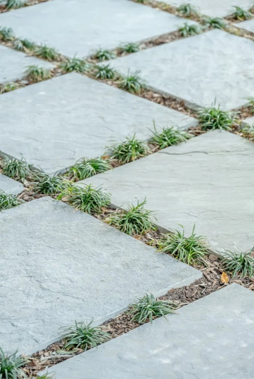 4 Williams St Charleston by Linda Greenberg Landscape & Design, LLC - Photo 7