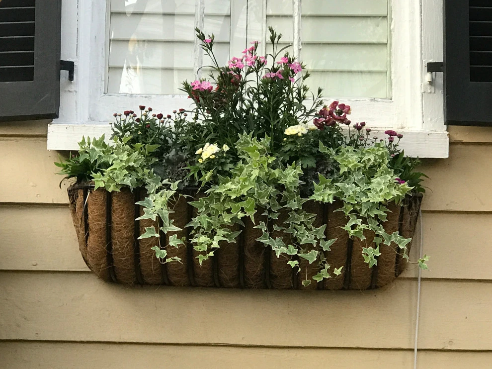 Historic Charleston Single c. 1870 by Linda Greenberg Landscape & Design, LLC - Photo 4