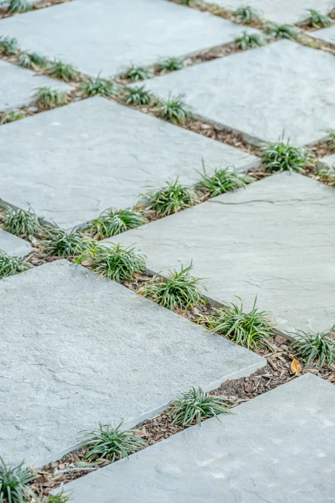 4 Williams St Charleston by Linda Greenberg Landscape & Design, LLC - Photo 8