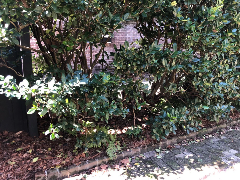 Linda Greenberg Landscape & Design, LLC - Photo 12