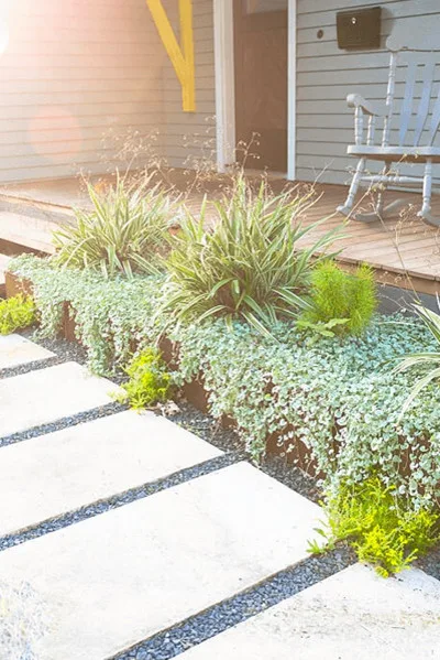 Contemporary Scenery by Yarrow Landscaping - Photo 3