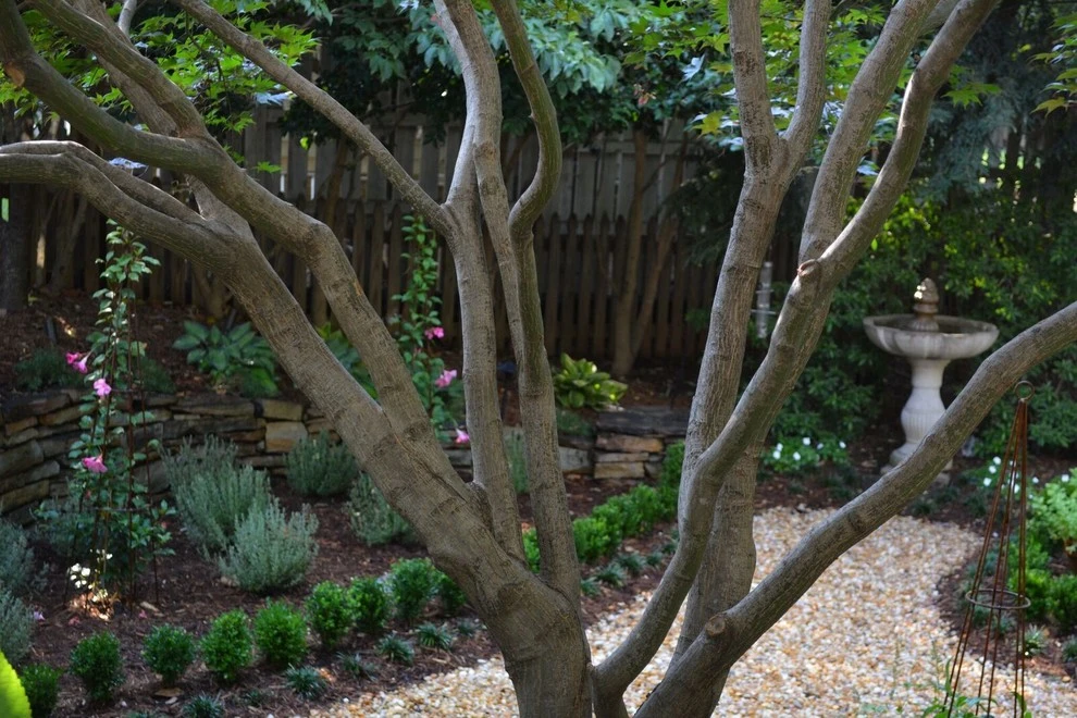 Myers Park Outdoor Entertaining Area by Linda Greenberg Landscape & Design, LLC - Photo 2