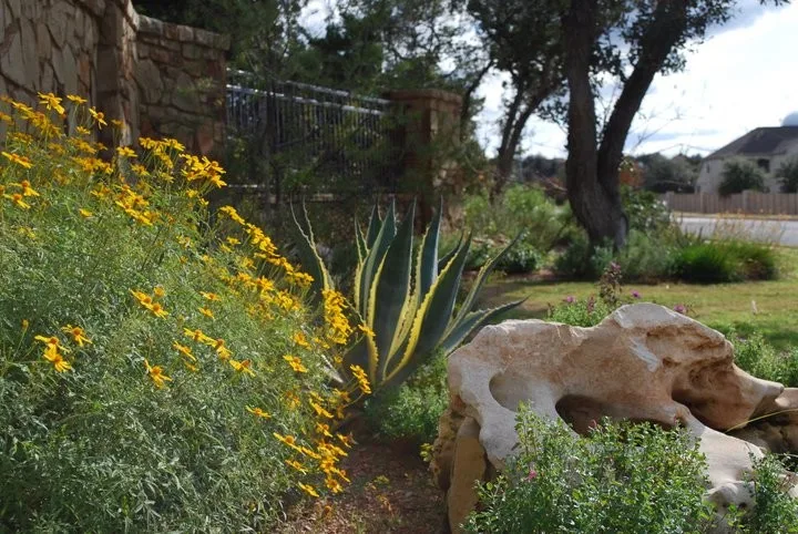 Drought-Resistant Landscapes by Yarrow Landscaping - Photo 2