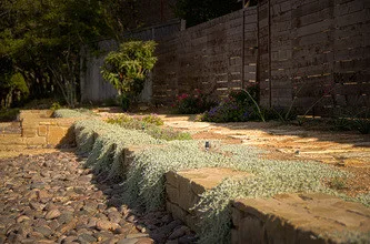 Drought-Resistant Landscapes by Yarrow Landscaping - Photo 7
