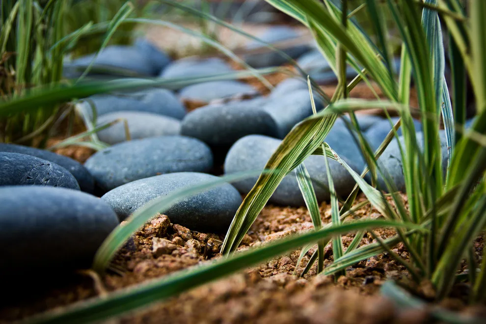 Yarrow Landscaping - Photo 9