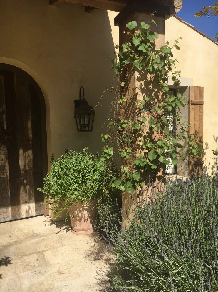 MDZA Landscape Architecture And Planning - Photo 7