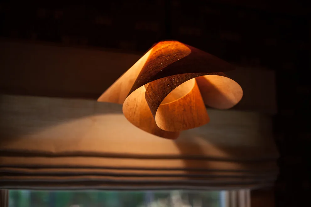 Hidden Kitchen by Dana King Design Build Remodeling - Photo 2