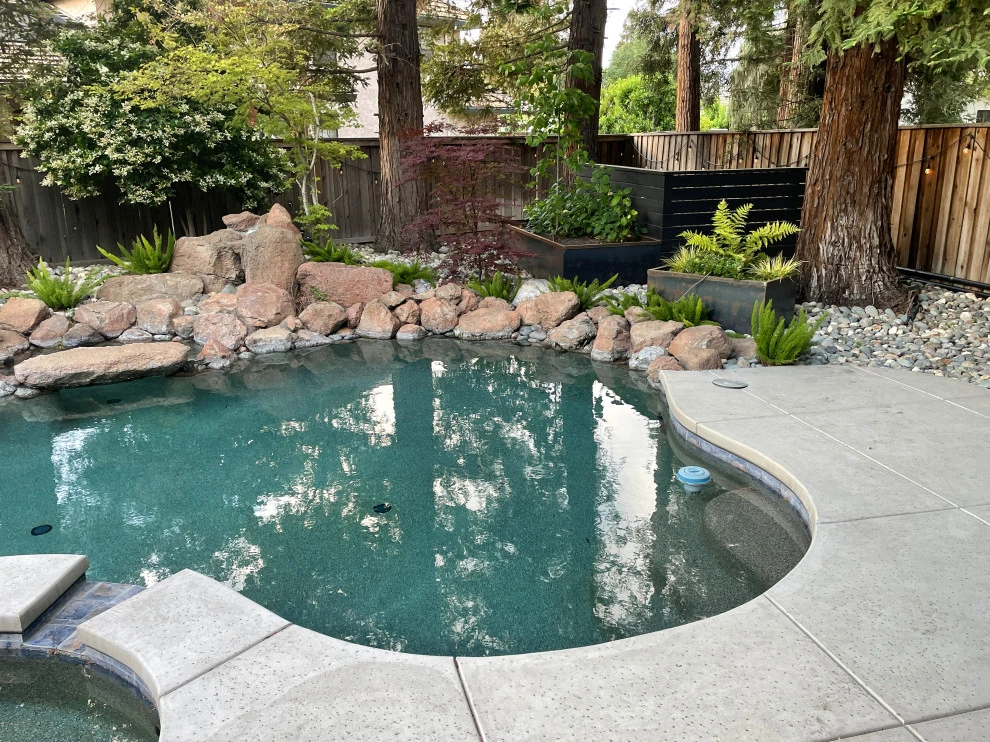 Redwood Grove Contemporary by Michael Glassman & Associates - Photo 11