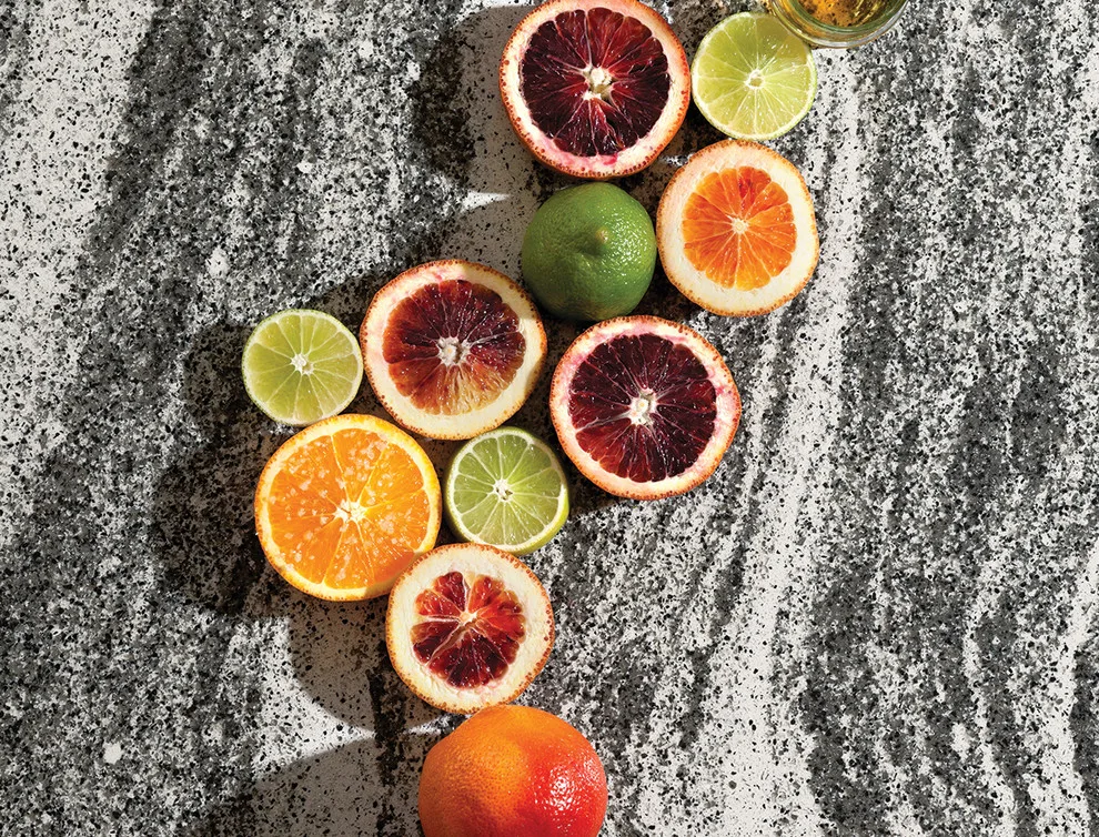 Top-Selling Cambria Quartz Surfaces by Karin Ross Designs - Photo 7
