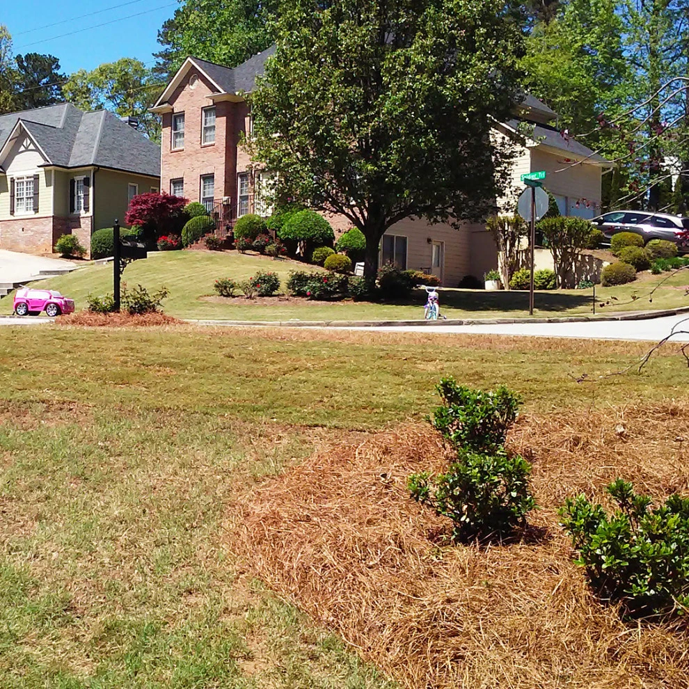 Cole Project by Michaelangelo's Sustainable Landscape & Design - Photo 4