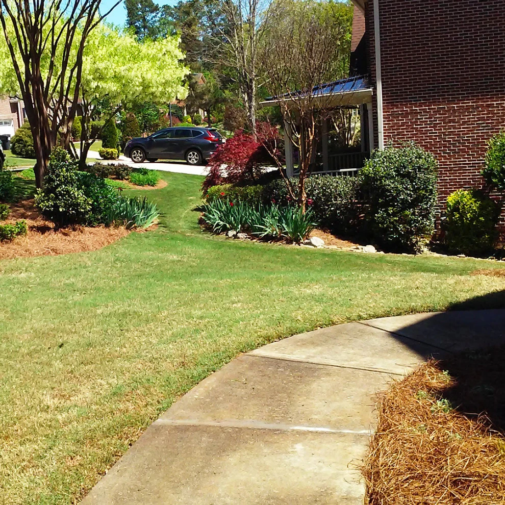 Cole Project by Michaelangelo's Sustainable Landscape & Design - Photo 5