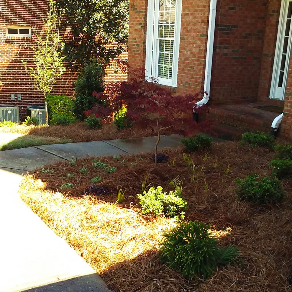 Cole Project by Michaelangelo's Sustainable Landscape & Design - Photo 6