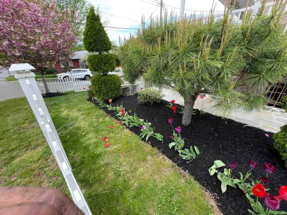 Ramirez Landscaping & Renovation INC1 by Ramirez Landscaping & Renovation INC - Photo 48