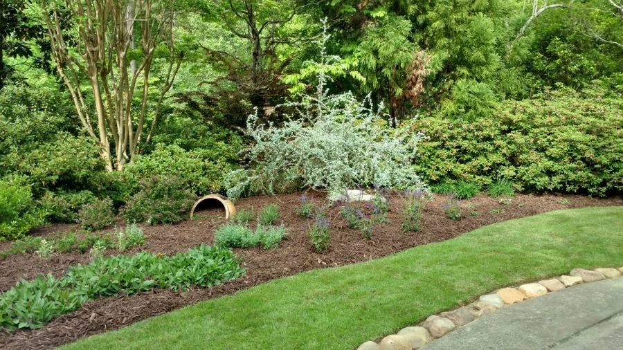Michaelangelo's Sustainable Landscape & Design - Photo 10