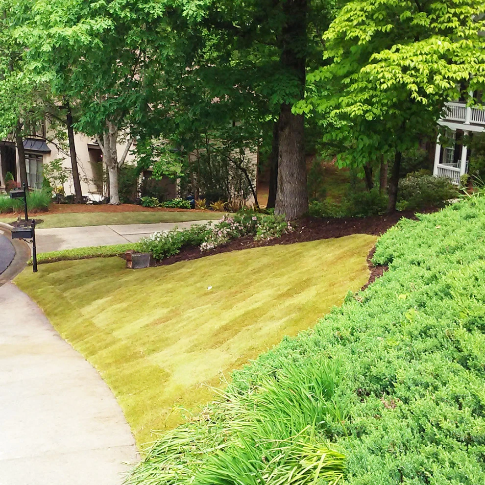 Michaelangelo's Sustainable Landscape & Design - Photo 12