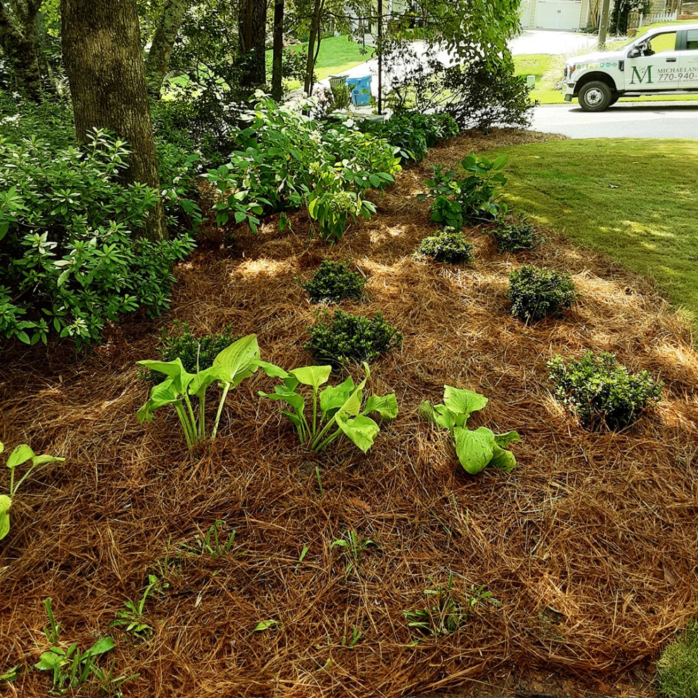 McDonald Project by Michaelangelo's Sustainable Landscape & Design - Photo 3