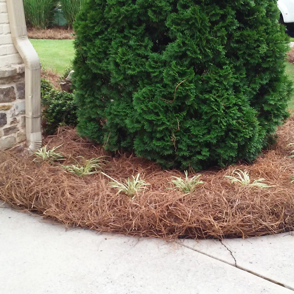 Shetty Project by Michaelangelo's Sustainable Landscape & Design - Photo 4