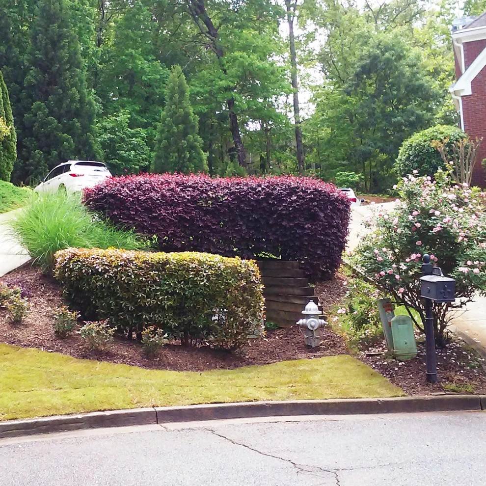 Michaelangelo's Sustainable Landscape & Design - Photo 8