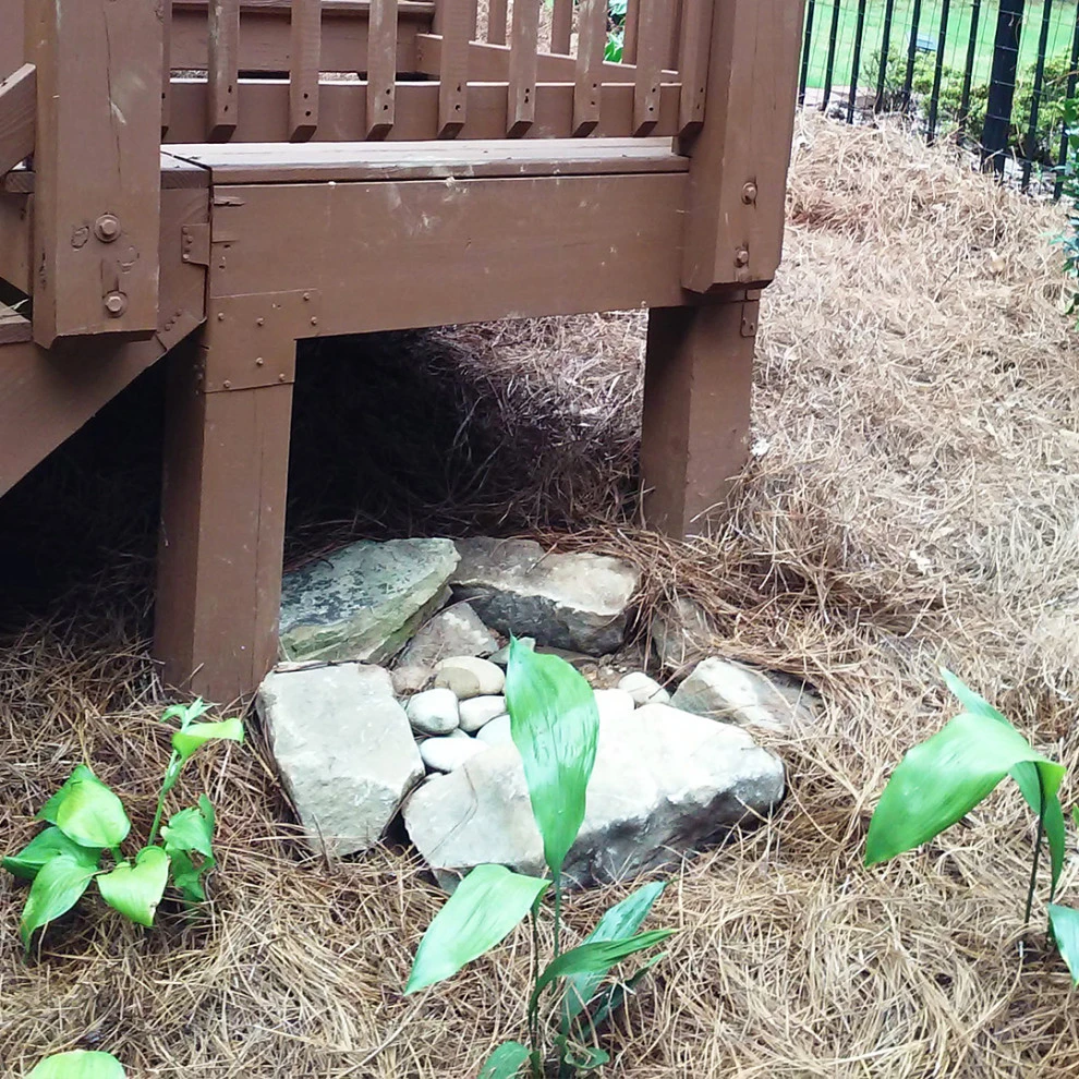 Singh Project by Michaelangelo's Sustainable Landscape & Design - Photo 5