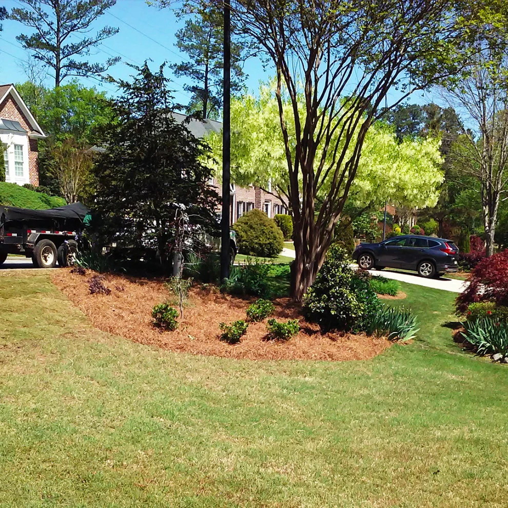 Cole Project by Michaelangelo's Sustainable Landscape & Design - Photo 2