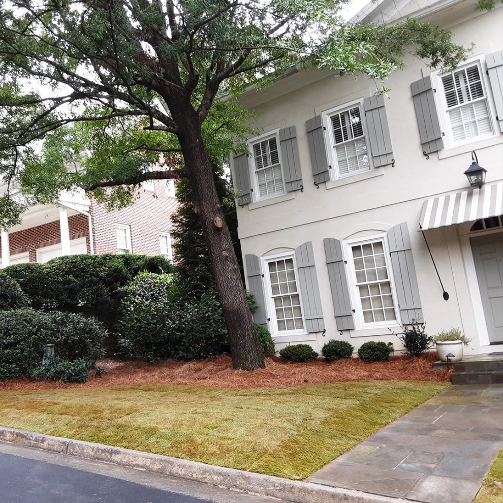 Cooper Project by Michaelangelo's Sustainable Landscape & Design - Photo 2