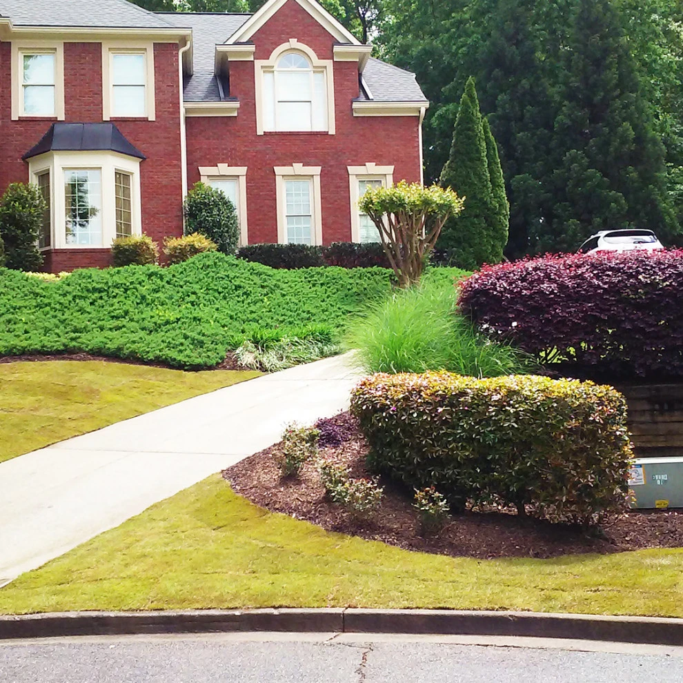 Woods Project by Michaelangelo's Sustainable Landscape & Design - Photo 5