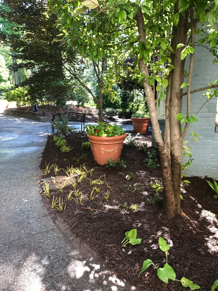 Diehl Garden by Michaelangelo's Sustainable Landscape & Design - Photo 3