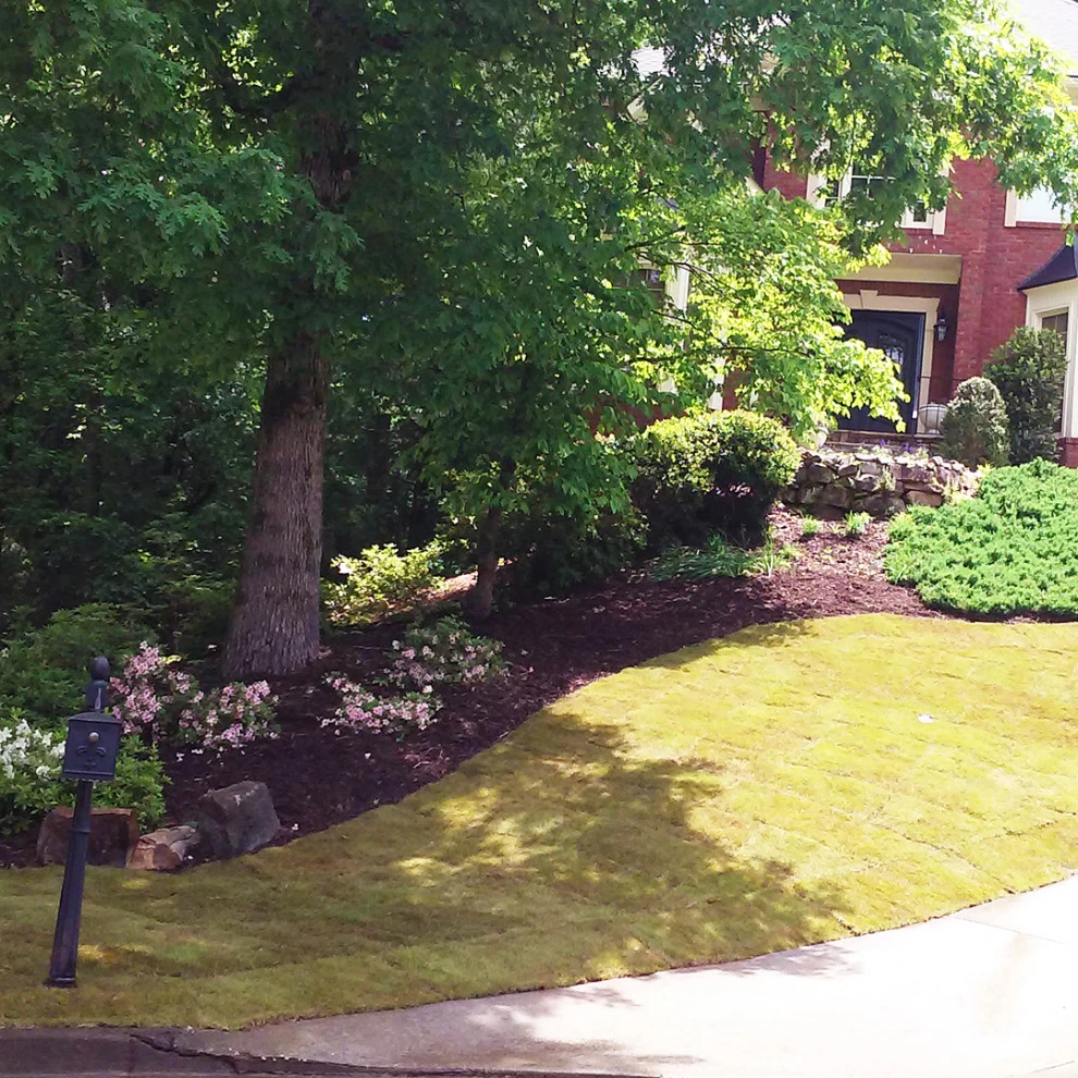 Woods Project by Michaelangelo's Sustainable Landscape & Design - Photo 2