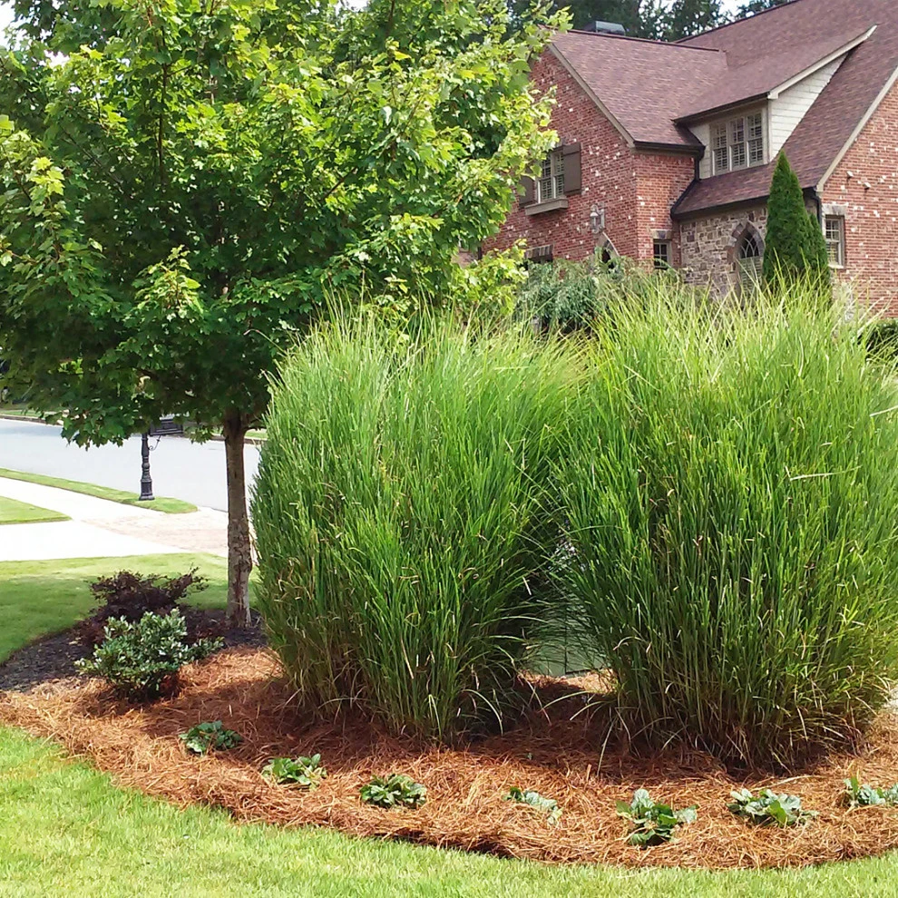 Shetty Project by Michaelangelo's Sustainable Landscape & Design - Photo 6