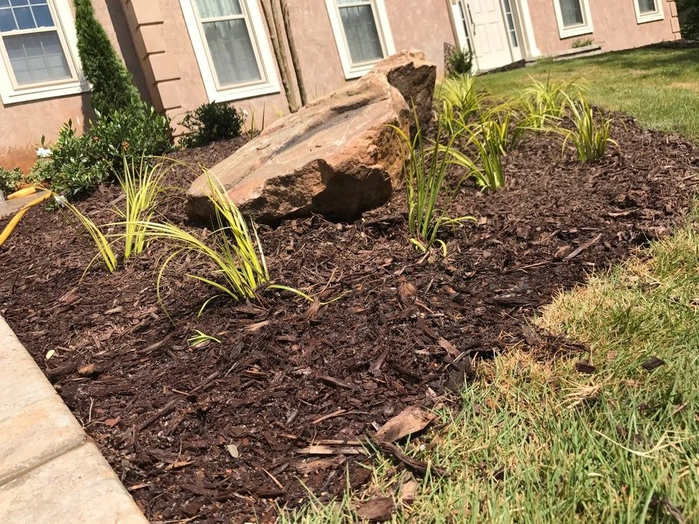 Nuckols Yard by Michaelangelo's Sustainable Landscape & Design - Photo 3