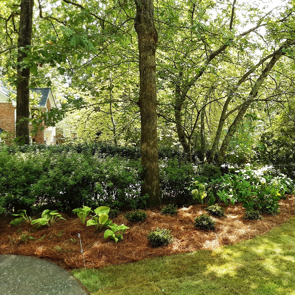 McDonald Project by Michaelangelo's Sustainable Landscape & Design - Photo 5