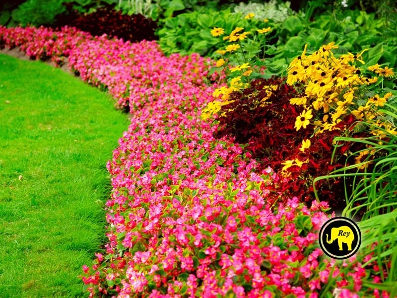 RCD Outdoors- Rodriguez Creative Designs - Photo 8