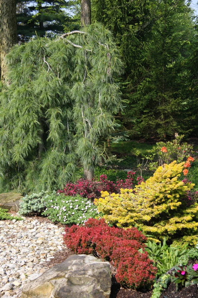 Bruen Residence by Pro Care Horticultural Services - Photo 48