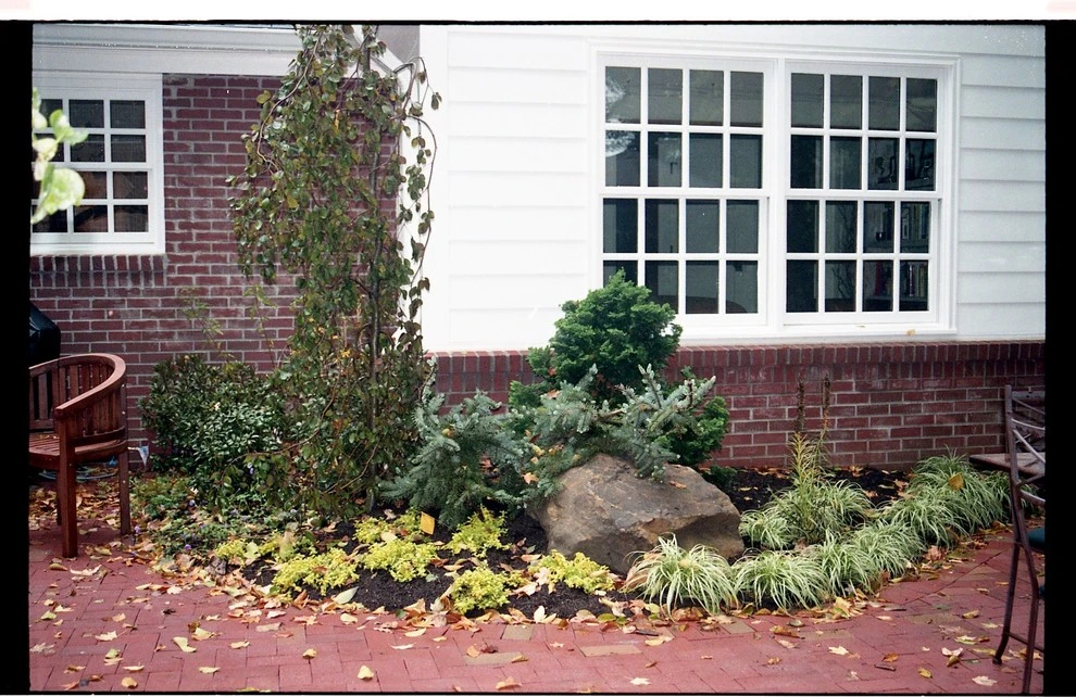 Laikin 3rd Home by Pro Care Horticultural Services - Photo 42