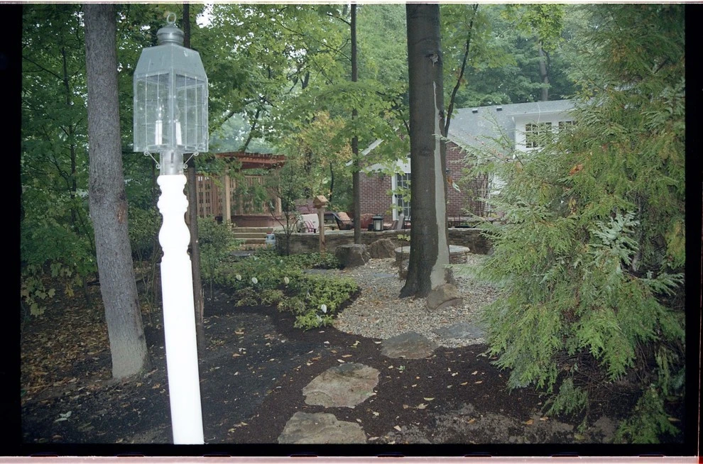 Laikin 3rd Home by Pro Care Horticultural Services - Photo 13