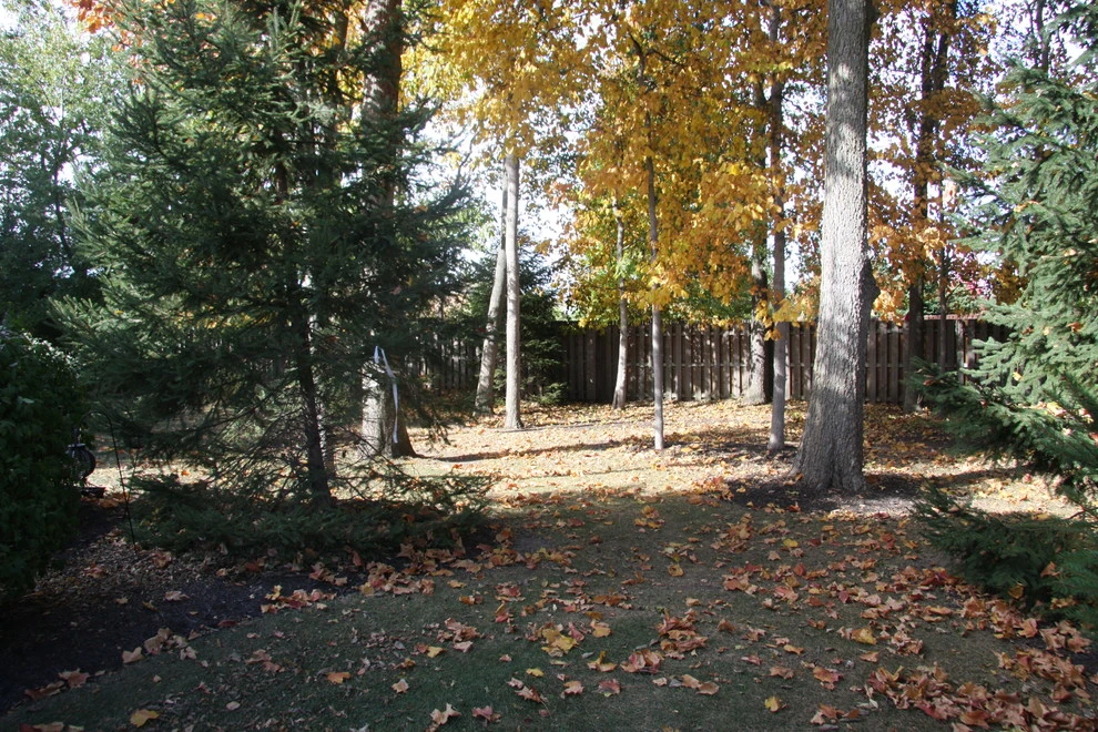 Fleming Residence by Pro Care Horticultural Services - Photo 83