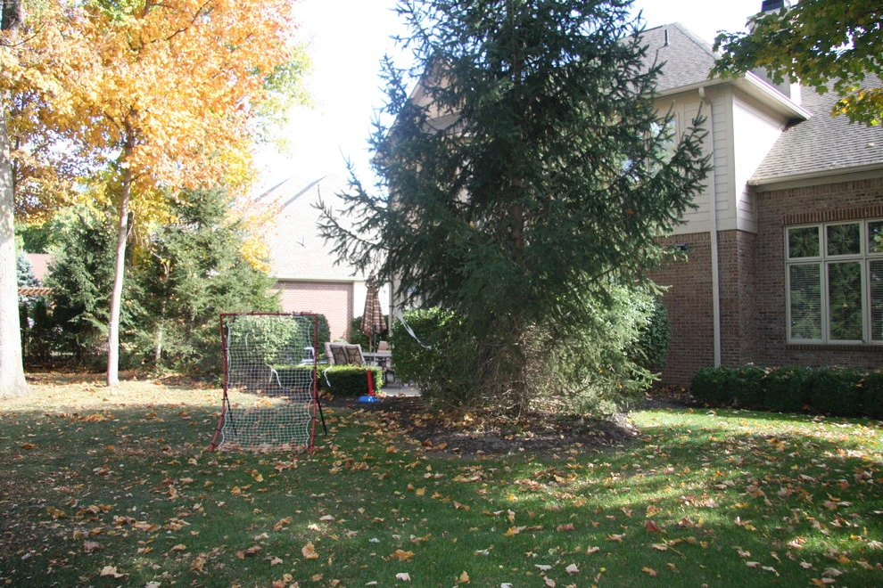 Fleming Residence by Pro Care Horticultural Services - Photo 77