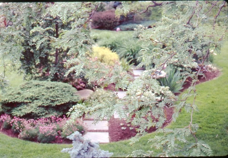 Eikenberry Residence by Pro Care Horticultural Services - Photo 103