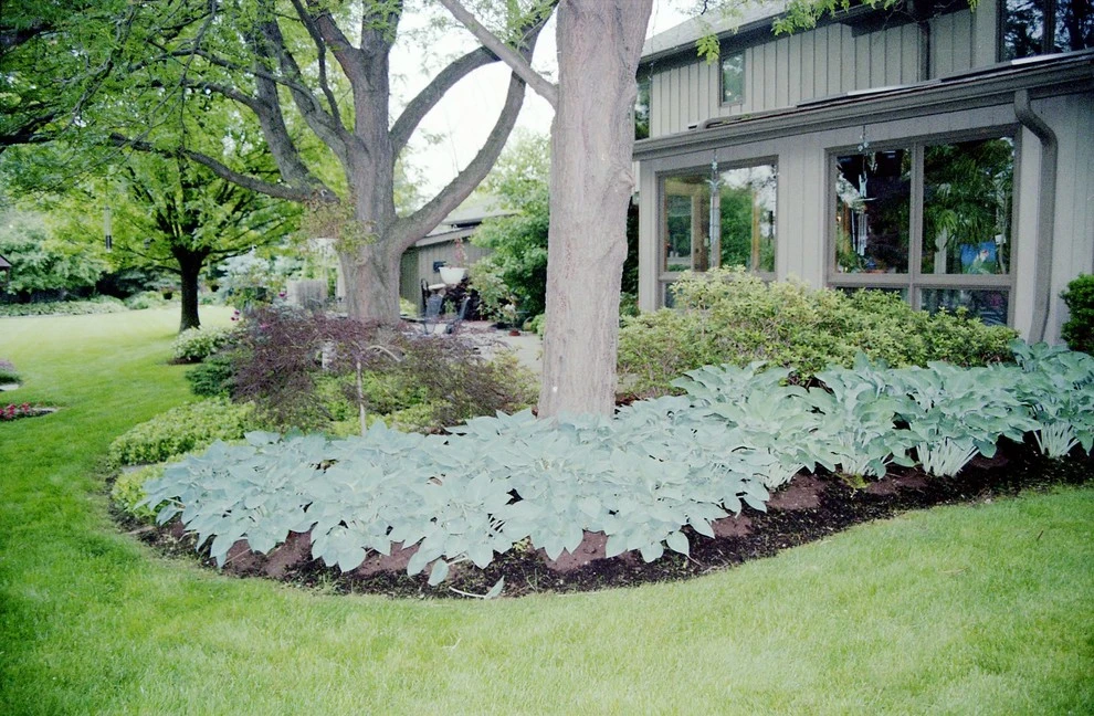 Eikenberry Residence by Pro Care Horticultural Services - Photo 113