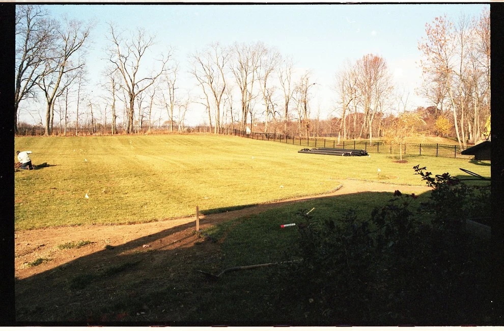 Pro Care Horticultural Services - Photo 6