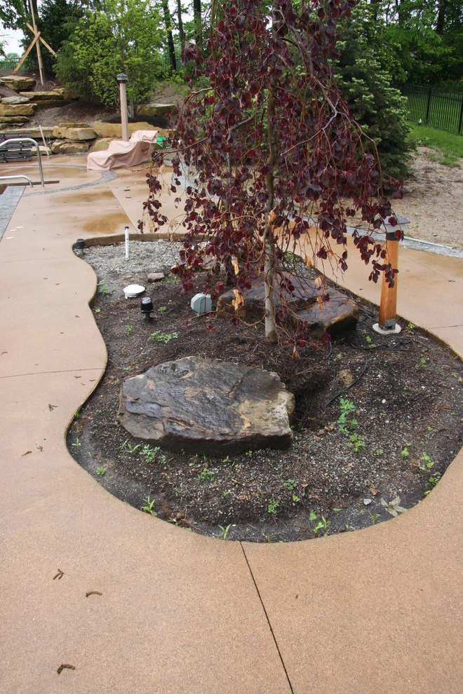 The Kaplan Residence by Pro Care Horticultural Services - Photo 324