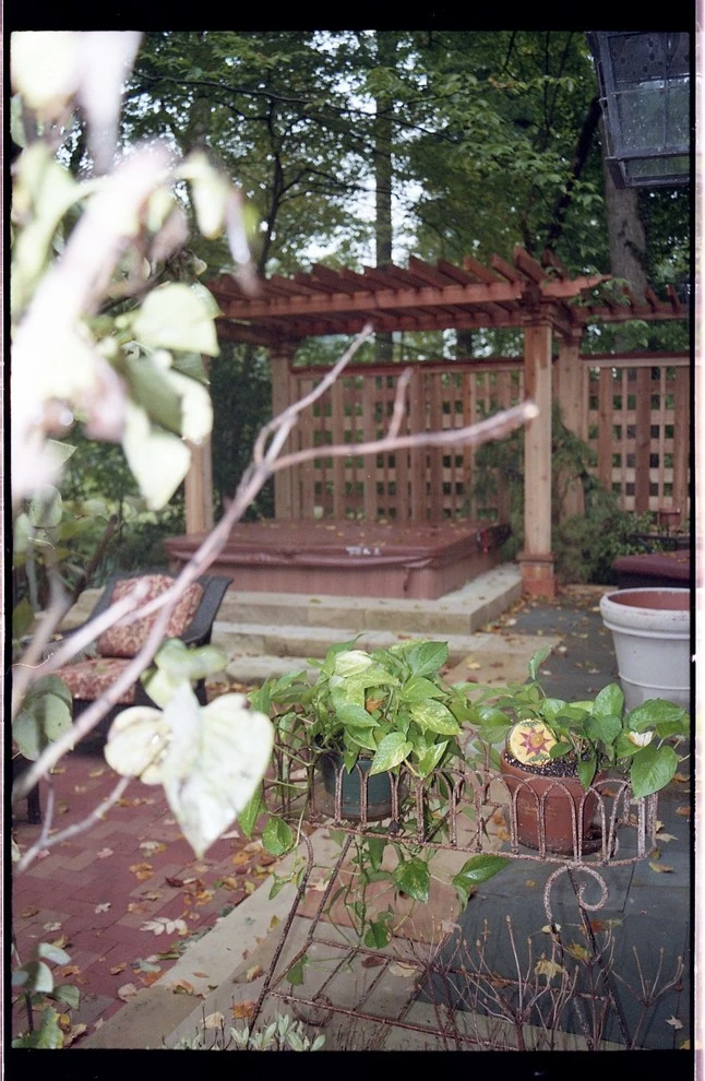 Laikin 3rd Home by Pro Care Horticultural Services - Photo 75