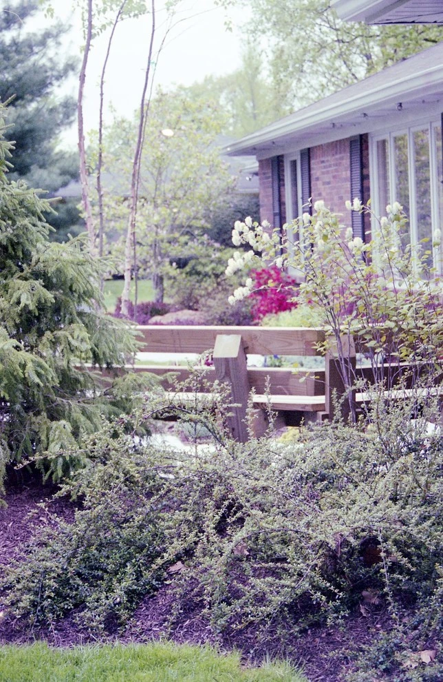 Haskell, Mike & Sue by Pro Care Horticultural Services - Photo 8