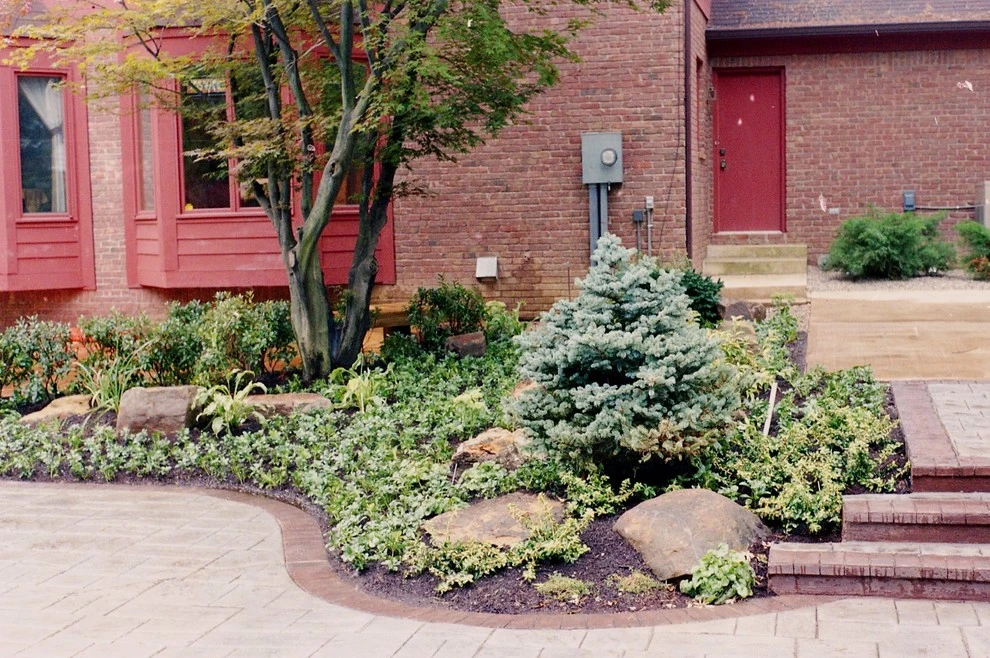 Cohen, M by Pro Care Horticultural Services - Photo 23