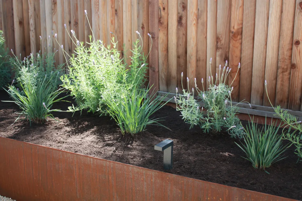 Tranquil Patina Garden by Traina Thought Landscapes - Photo 5