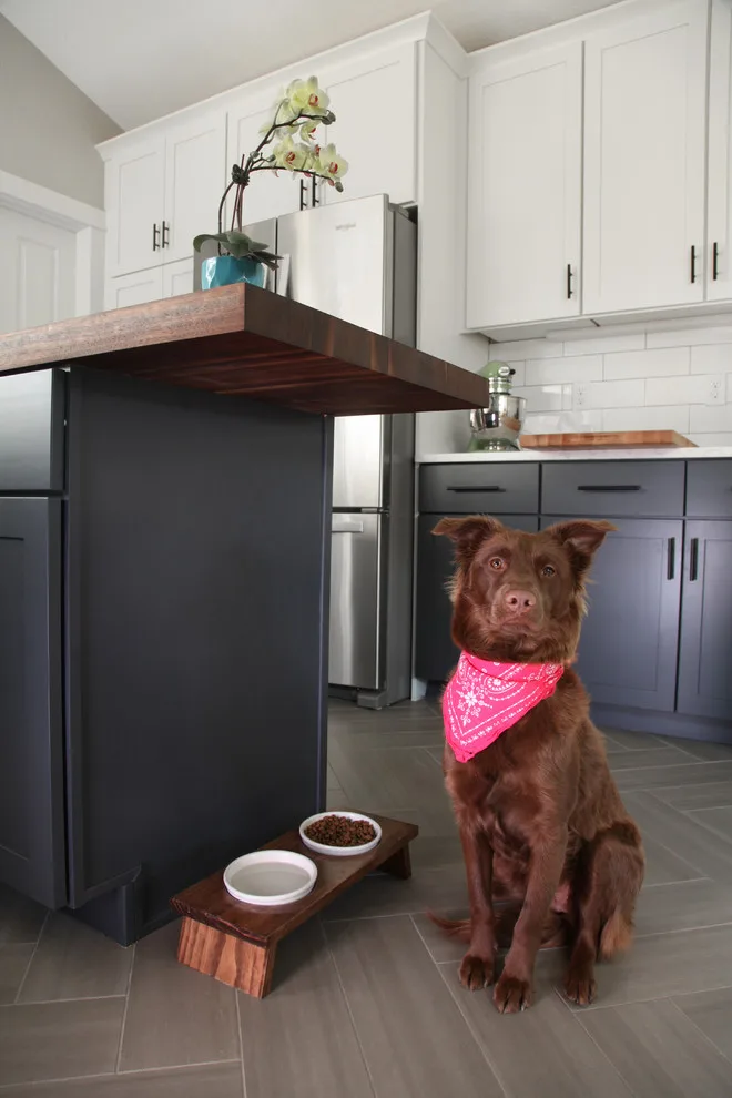 Pear Street Kitchen by Elevated Design Build - Photo 4