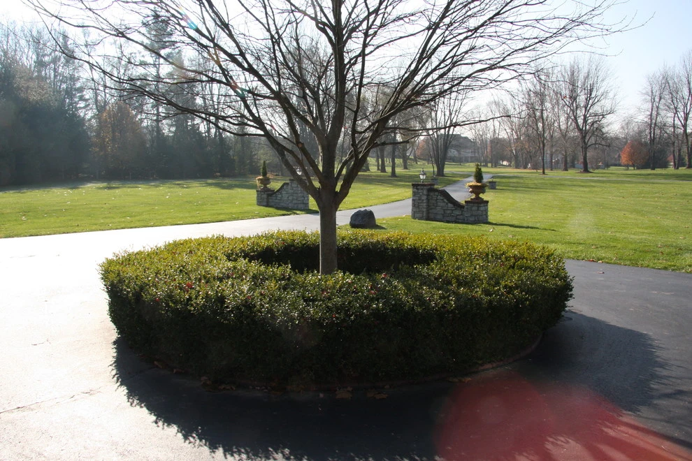 The Mann Residence by Pro Care Horticultural Services - Photo 22